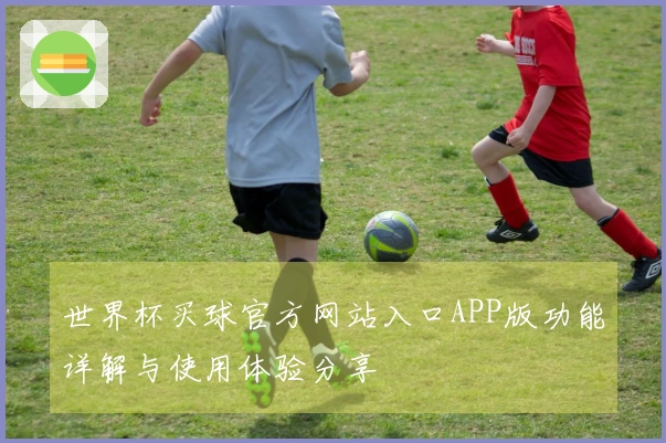 世界杯买球官方网站入口APP版功能详解与使用体验分享