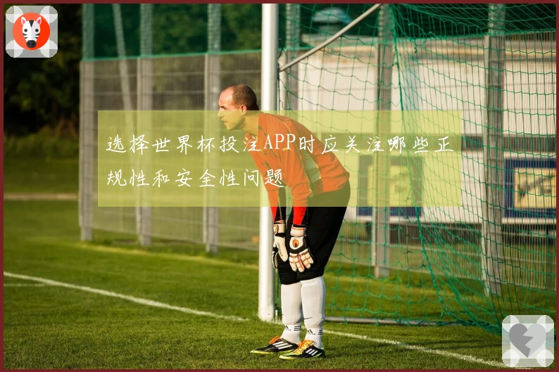 选择世界杯投注APP时应关注哪些正规性和安全性问题