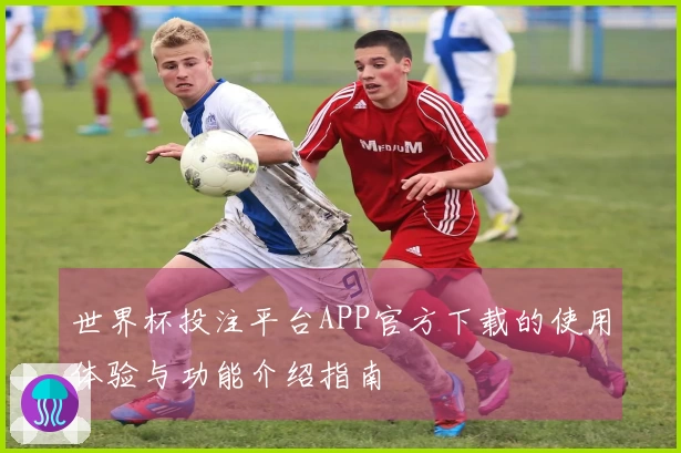 世界杯投注平台APP官方下载的使用体验与功能介绍指南