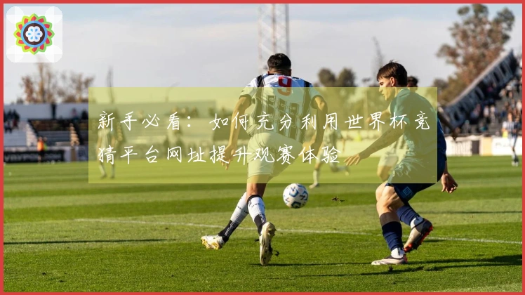 新手必看：如何充分利用世界杯竞猜平台网址提升观赛体验