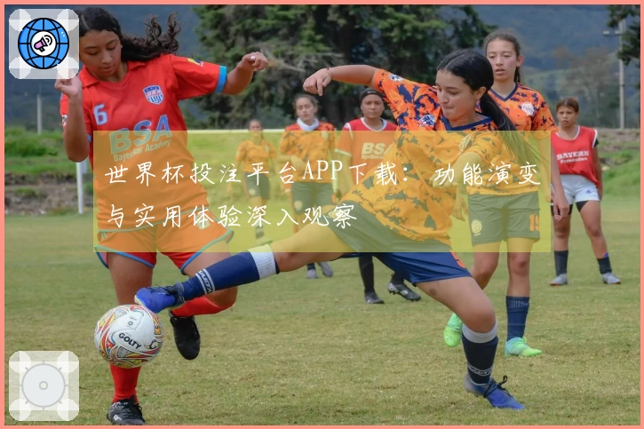 世界杯投注平台APP下载:功能演变与实用体验深入观察