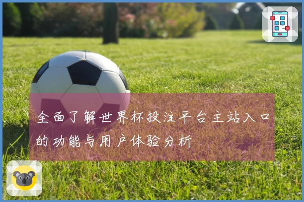 全面了解世界杯投注平台主站入口的功能与用户体验分析