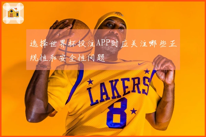 选择世界杯投注APP时应关注哪些正规性和安全性问题