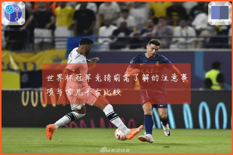 世界杯冠军竞猜前需了解的注意事项与常见平台比较