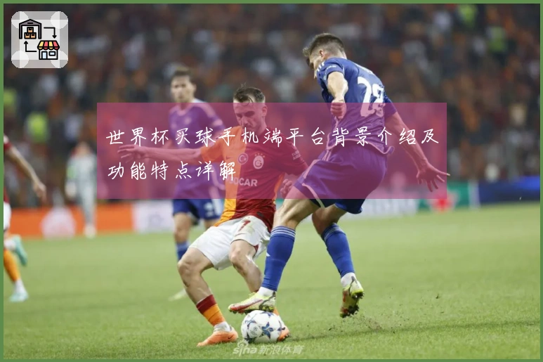 世界杯买球手机端平台背景介绍及功能特点详解