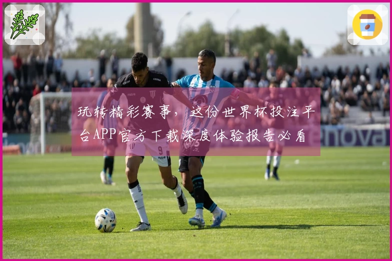 玩转精彩赛事，这份世界杯投注平台APP官方下载深度体验报告必看