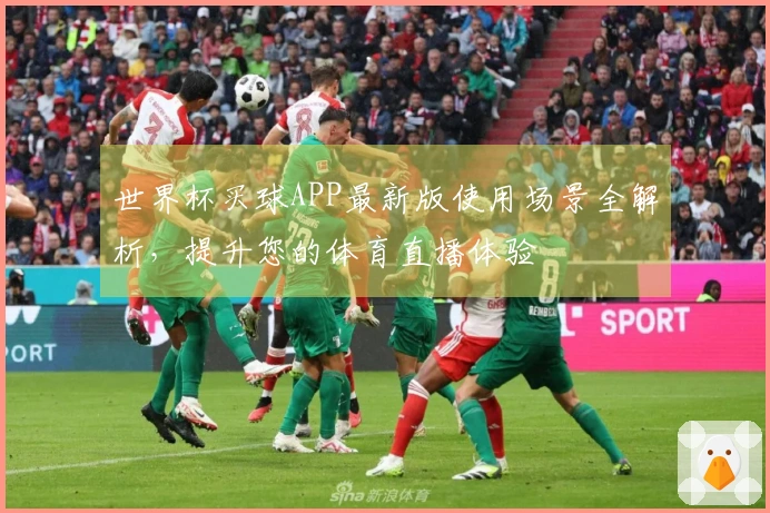 世界杯买球APP最新版使用场景全解析，提升您的体育直播体验